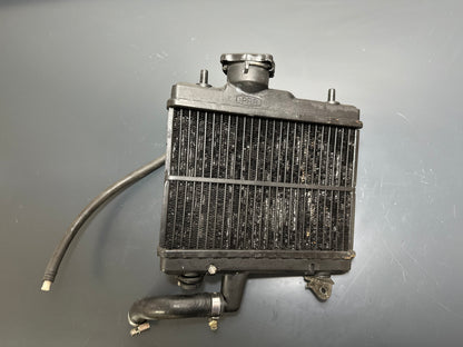 RADIATORE HONDA NS 125 F 1984 1985 1986 Radiatore ASSY. 19110KR1760