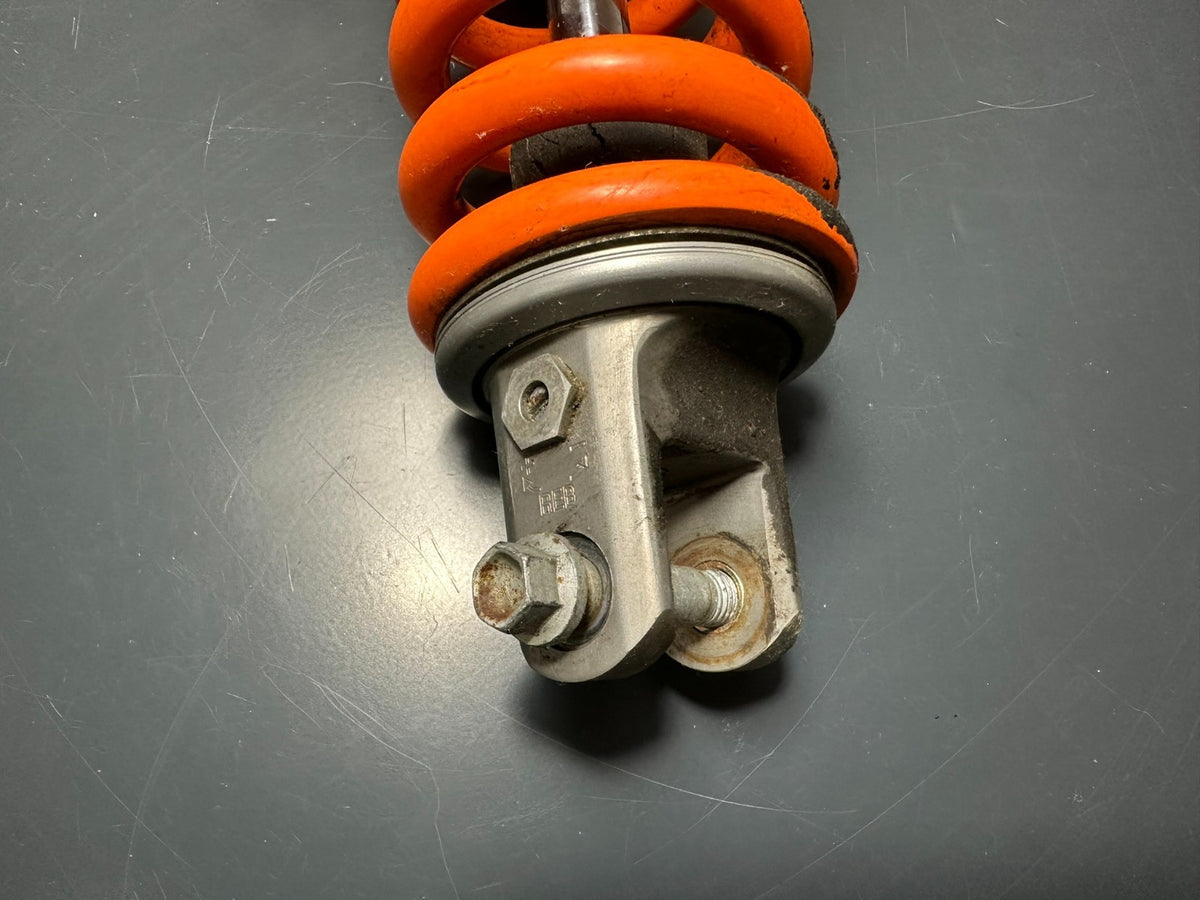 v1|137151003217|0
