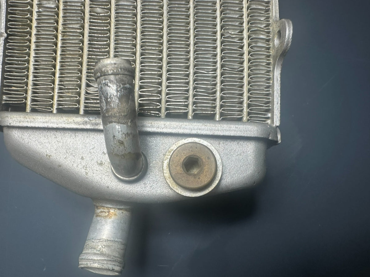 v1|137686382410|0