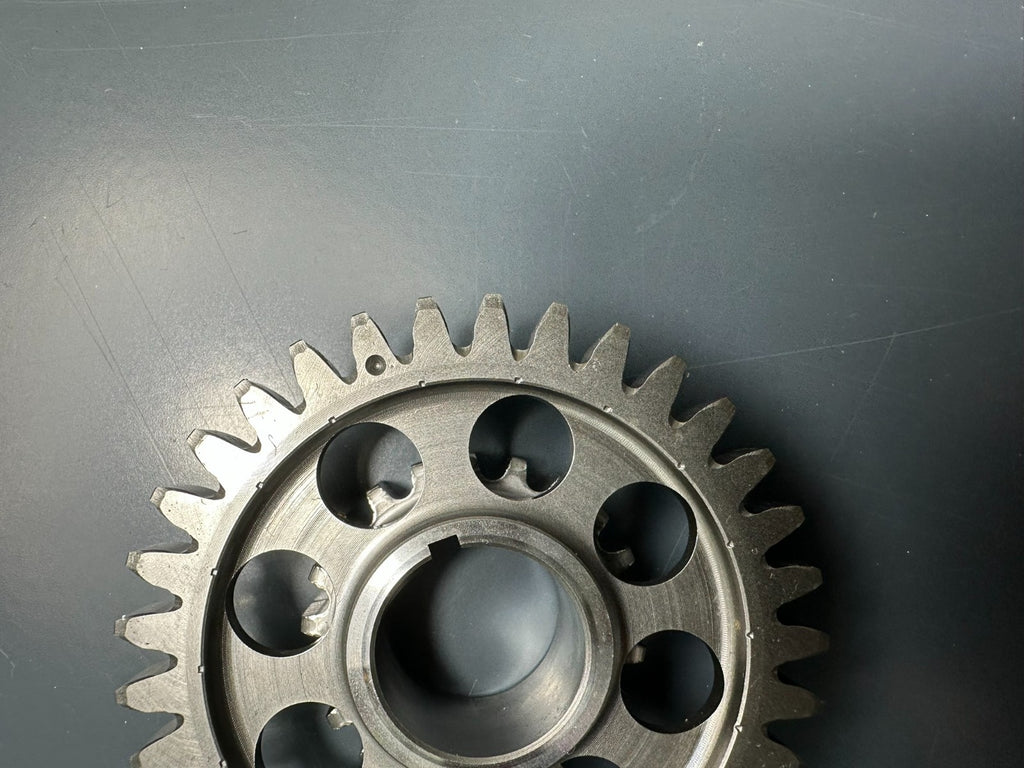 v1|137048565636|0