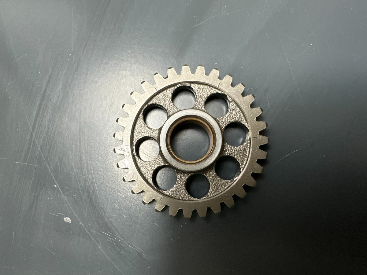 v1|137214892246|0