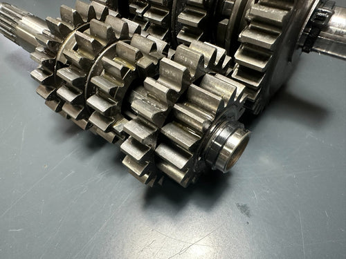 v1|137686406818|0