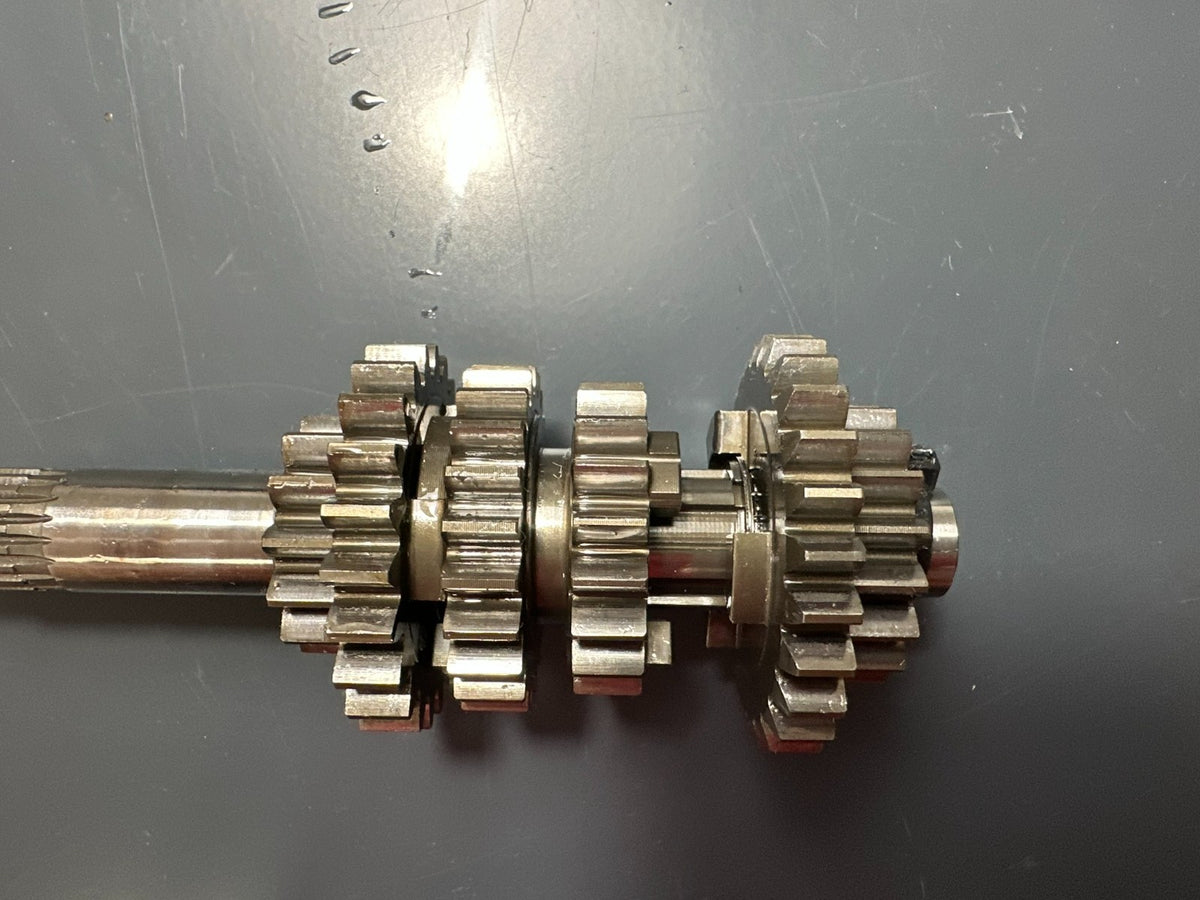 v1|137312885421|0