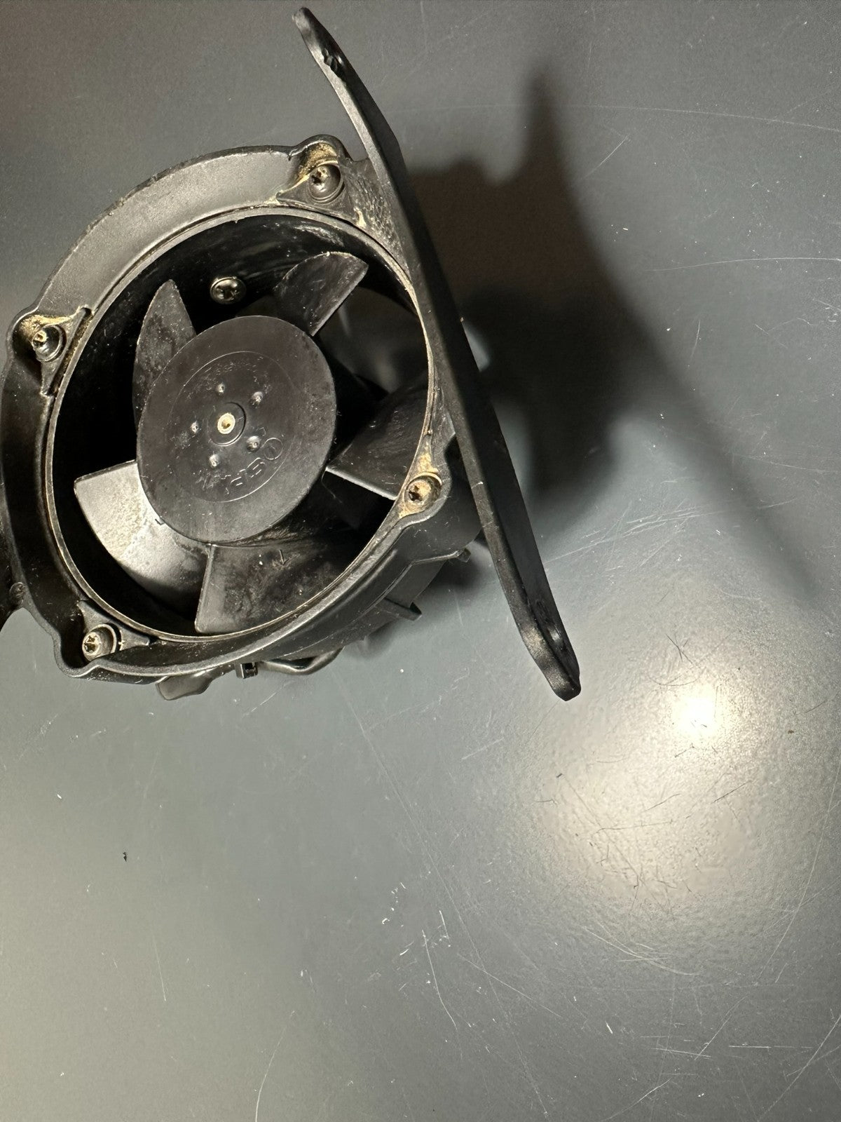 v1|137509231563|0