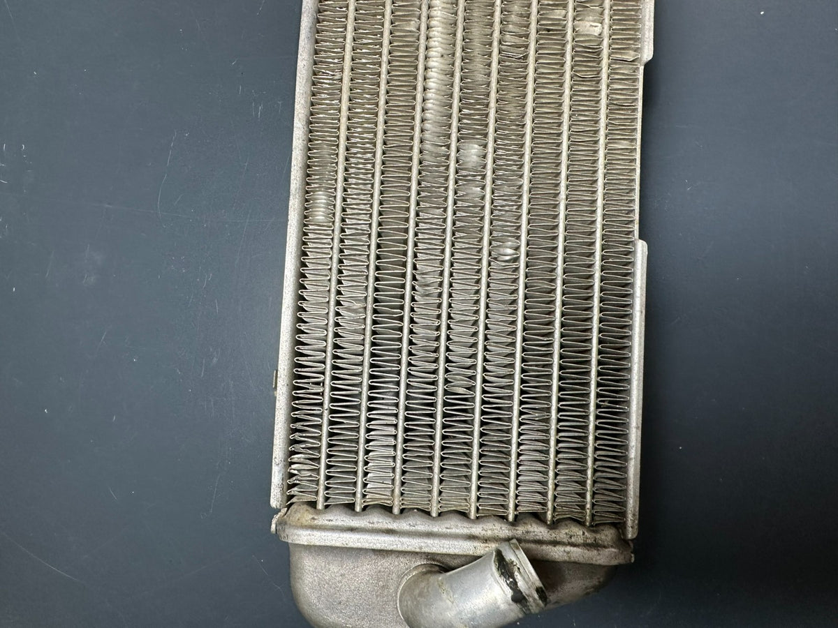 v1|137193513887|0