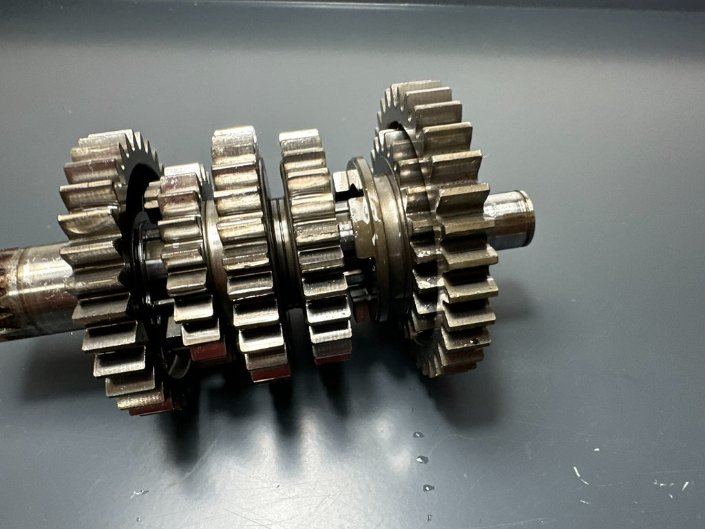 v1|137312885421|0