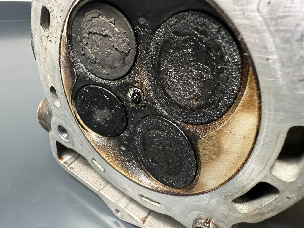 v1|137751922303|0