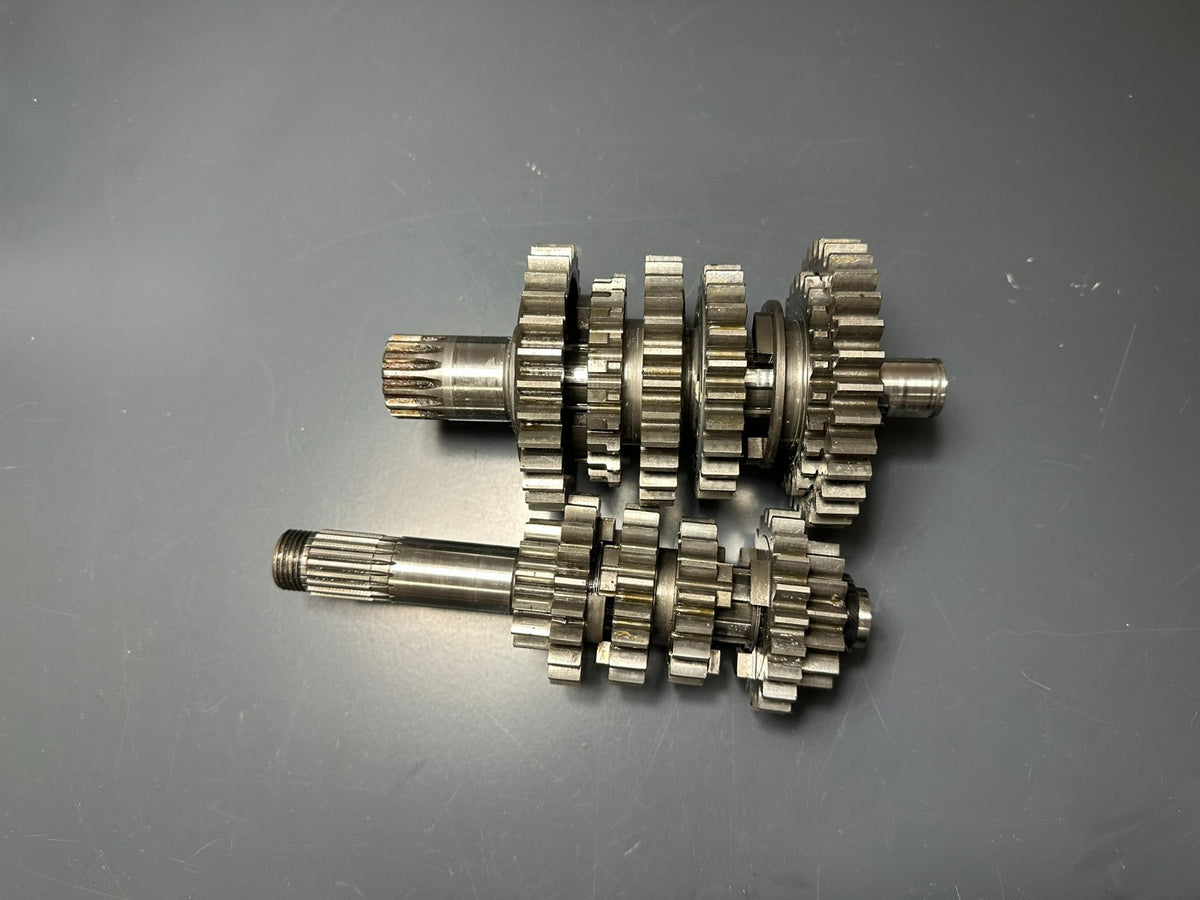 v1|137686406818|0