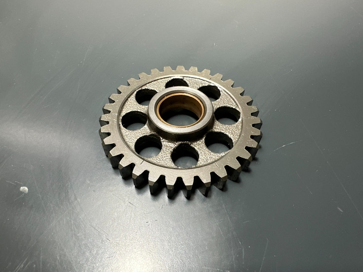 v1|137214892246|0