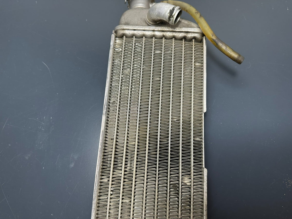 v1|137150429155|0