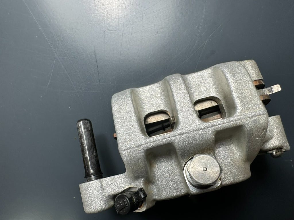 v1|137556197516|0