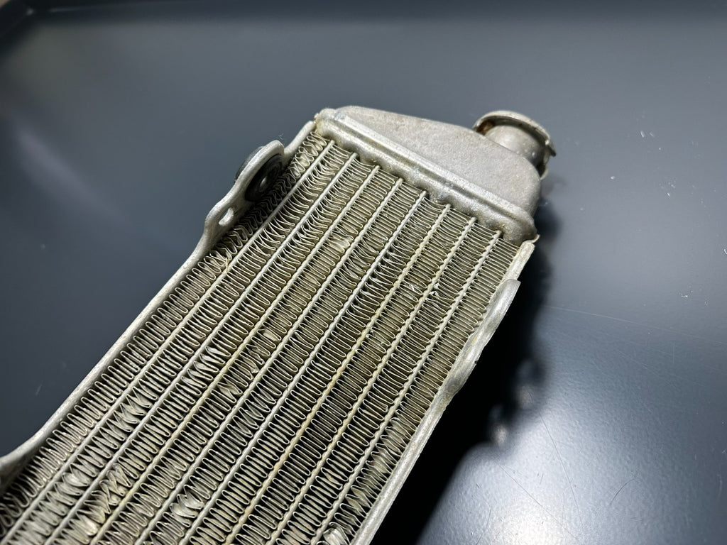v1|137097529985|0
