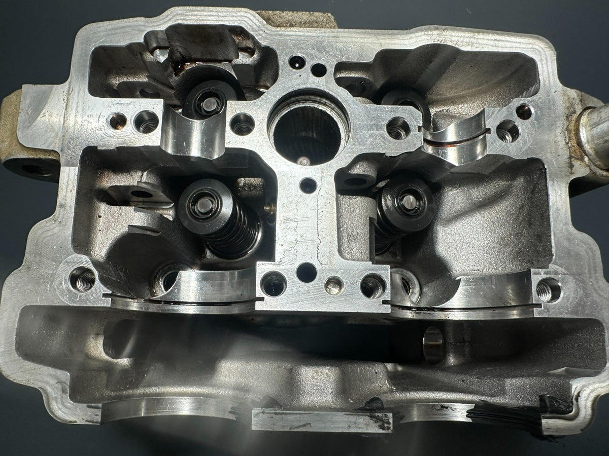 v1|137751922303|0