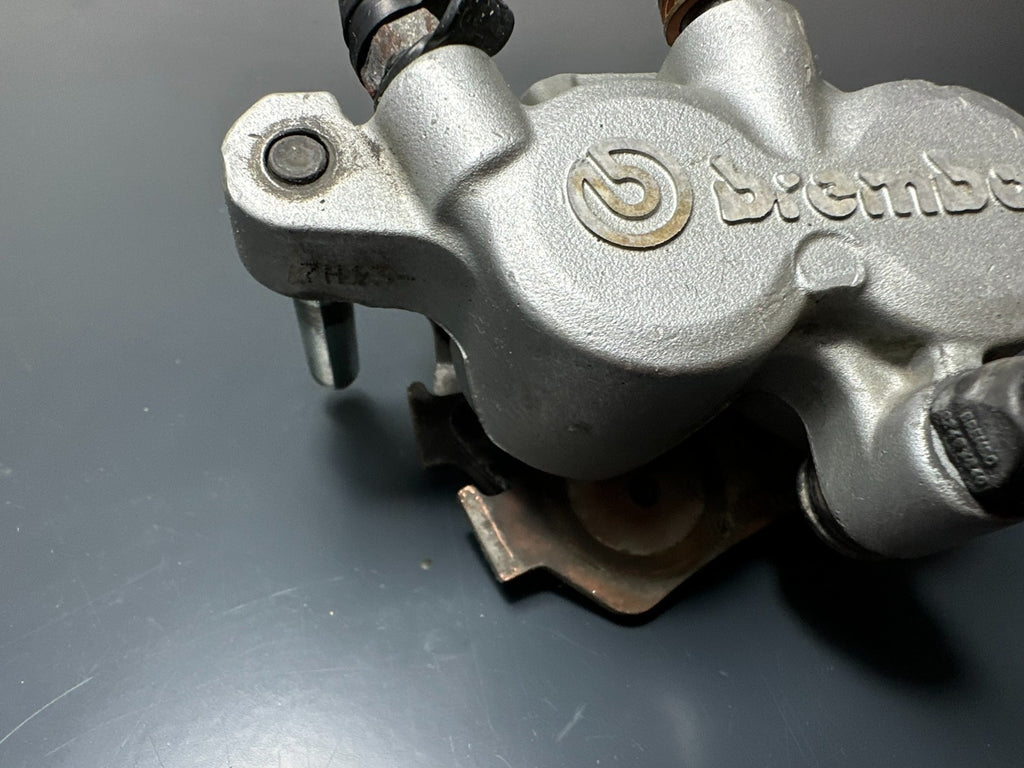 v1|137337365284|0
