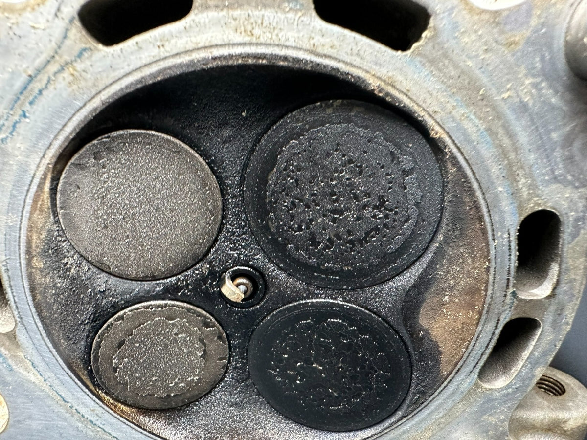 v1|137828273013|0