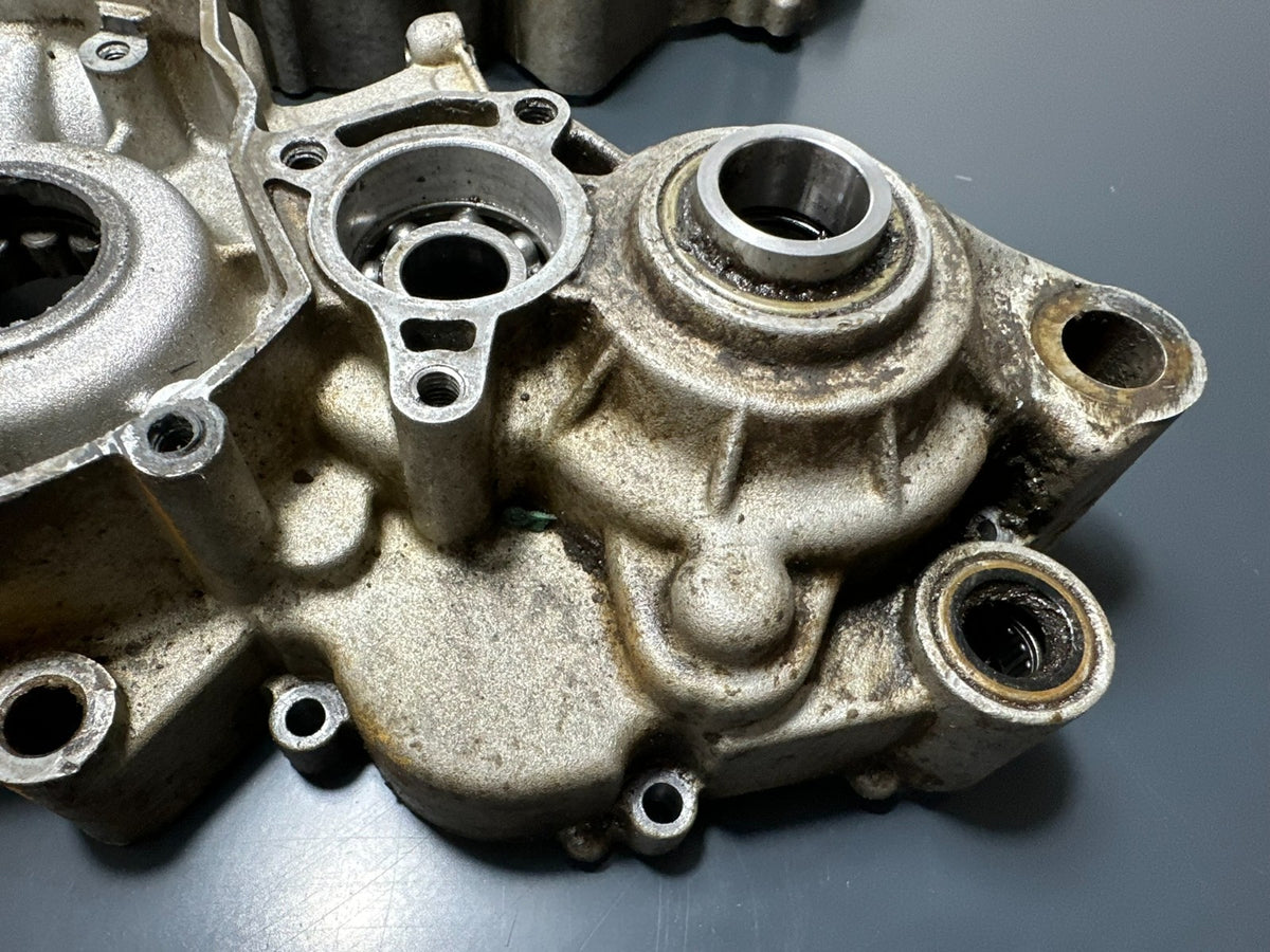 v1|137214829463|0