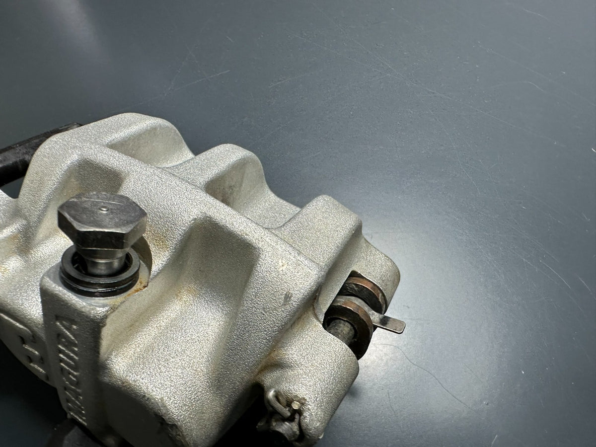 v1|137556197516|0