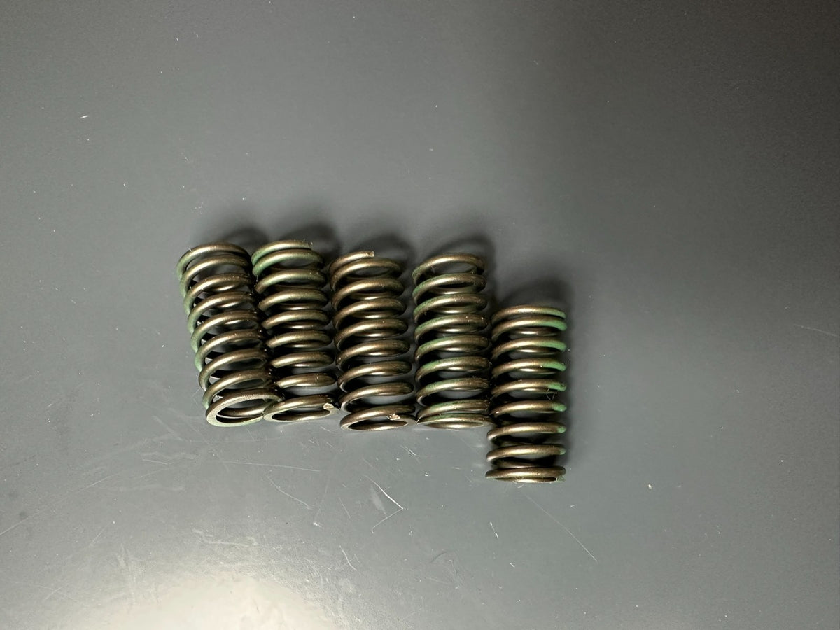 v1|137822138774|0