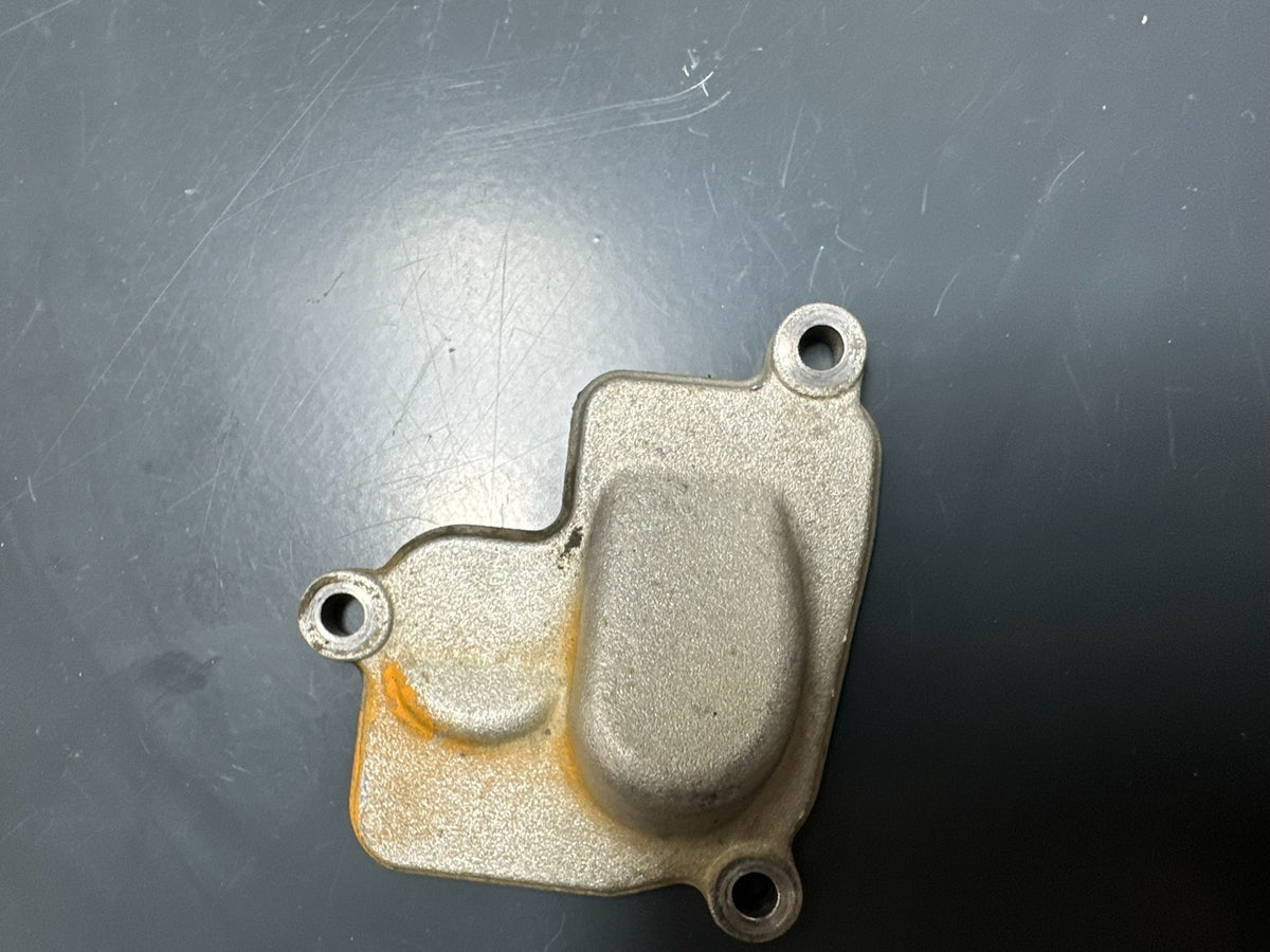 v1|137563356925|0