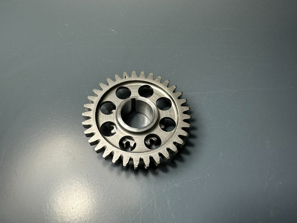 v1|137048565636|0