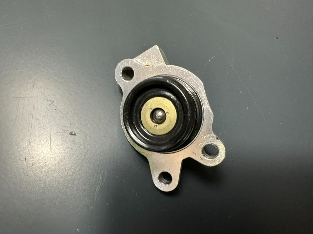 v1|137234318173|0