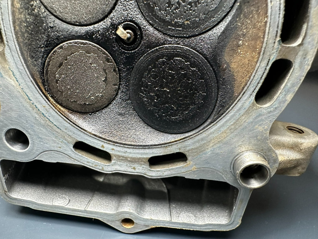 v1|137828273013|0
