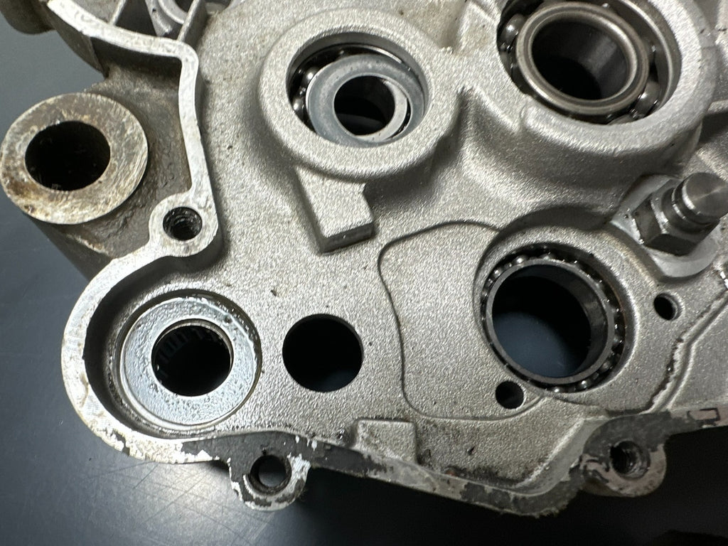 v1|137214829463|0