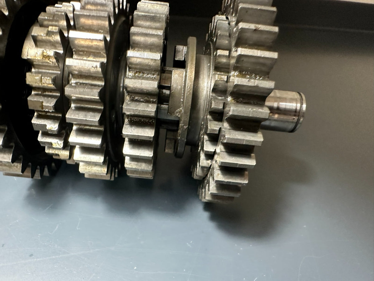 v1|137686406818|0