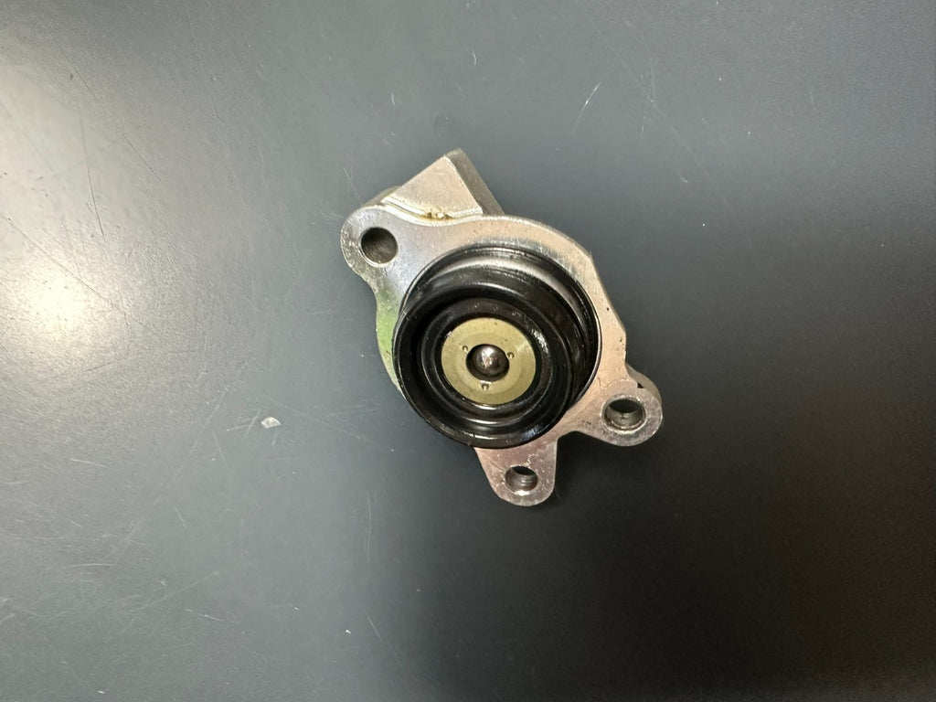 v1|137234318173|0