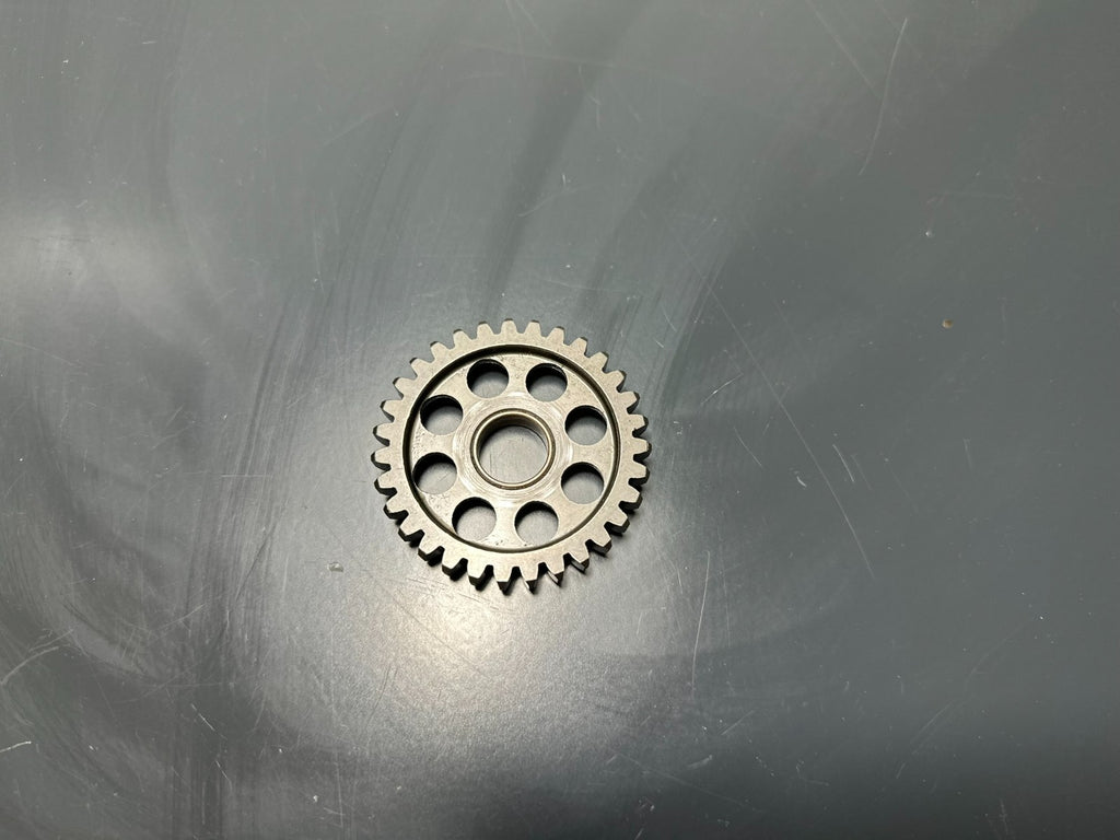 v1|137214892246|0