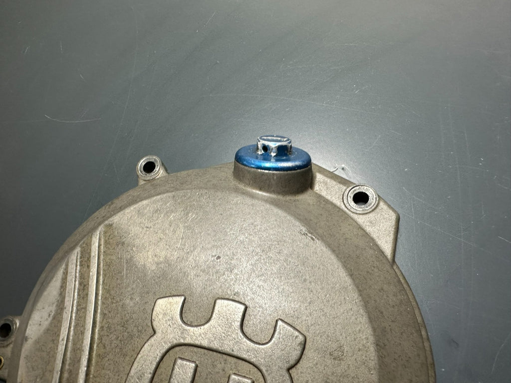 v1|137234381899|0