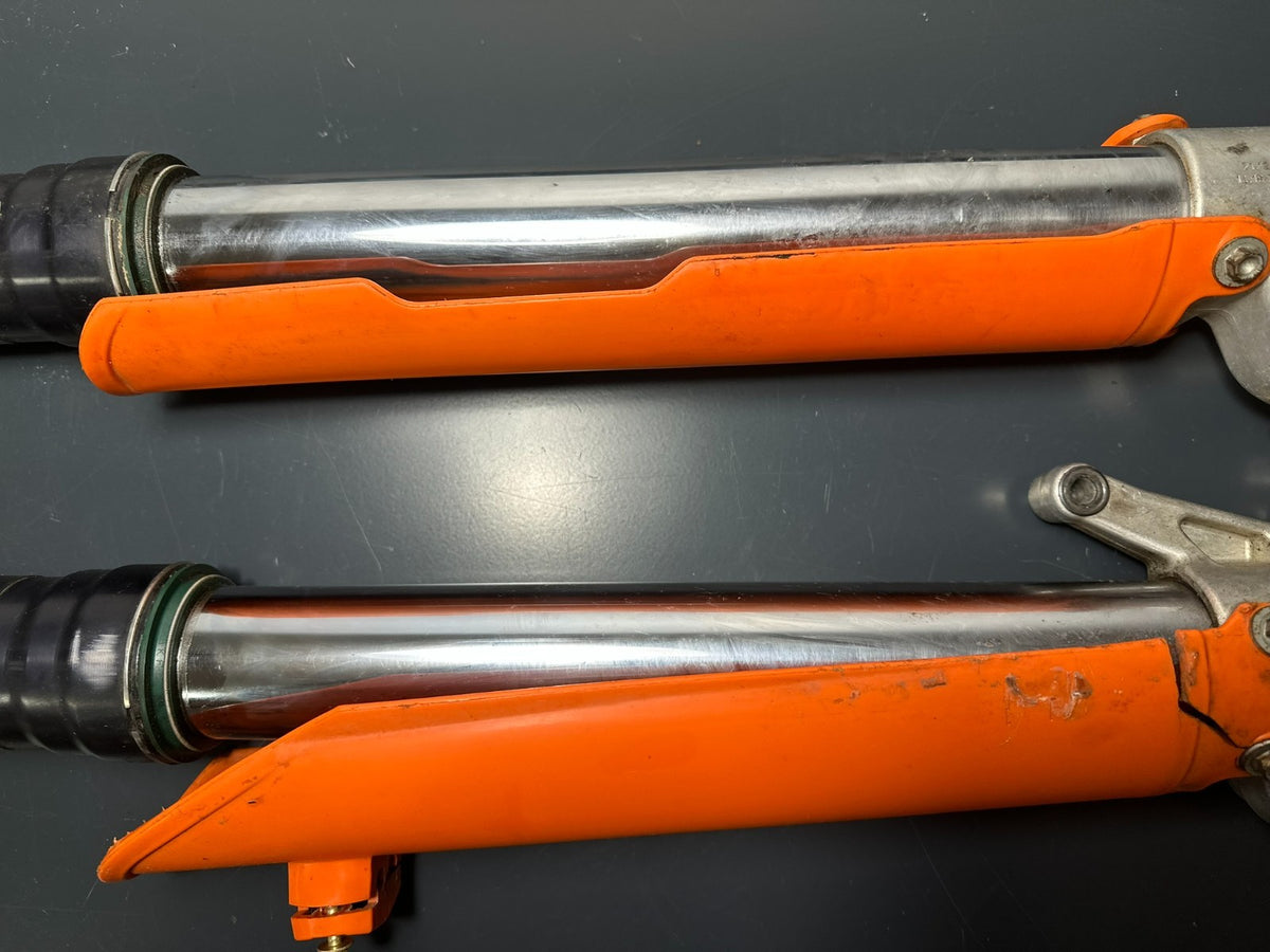 v1|137168965875|0