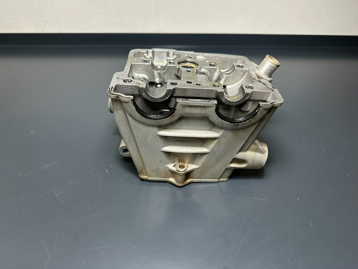 v1|137828273013|0