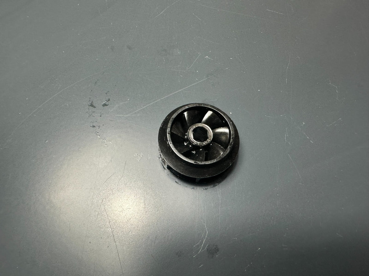 v1|137584911195|0
