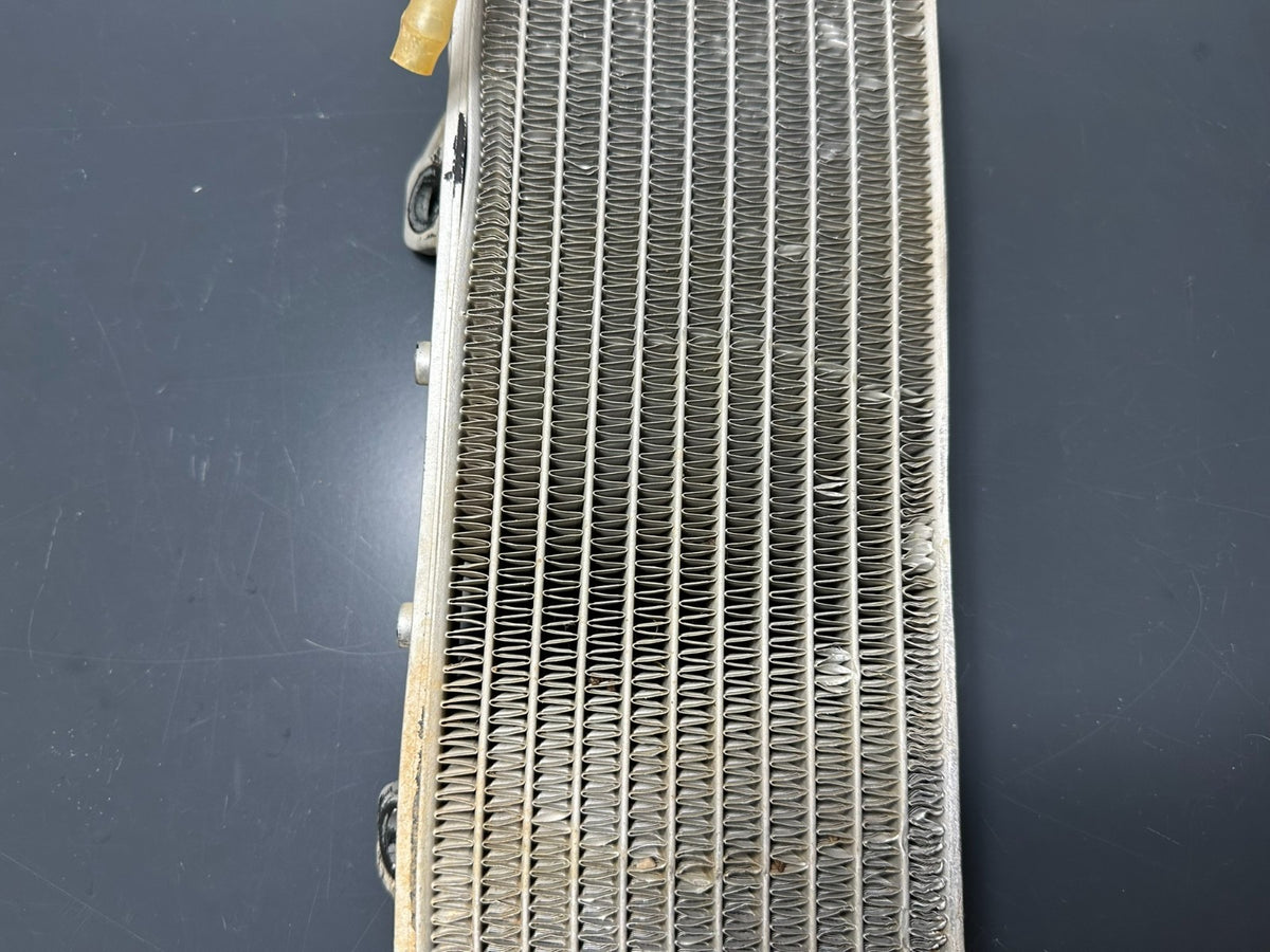 v1|137515560307|0