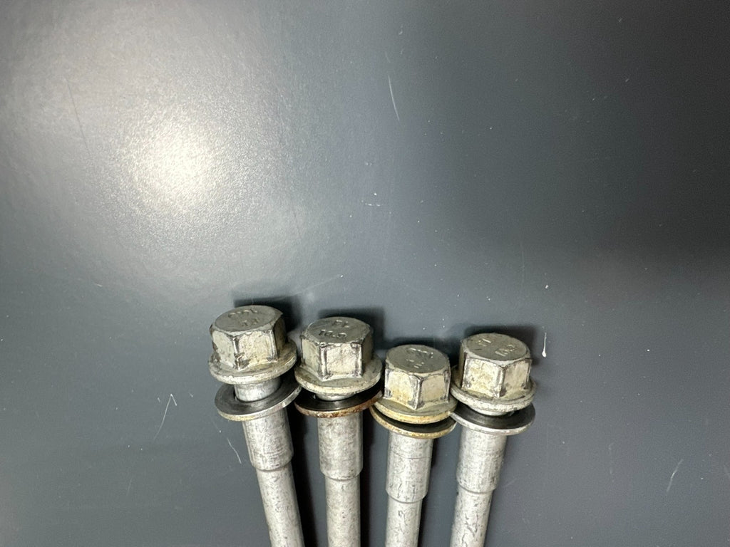 v1|137312688795|0