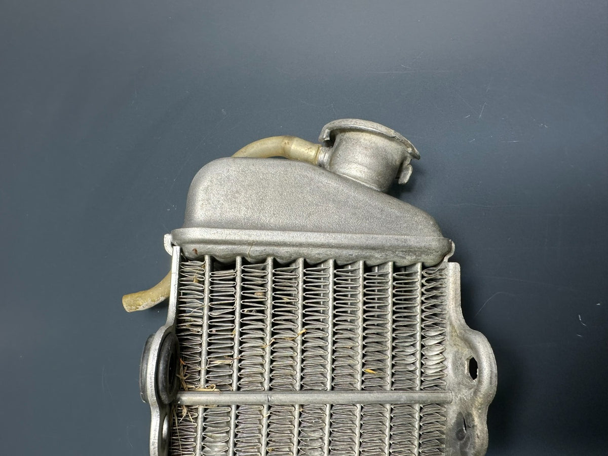 v1|136998319396|0