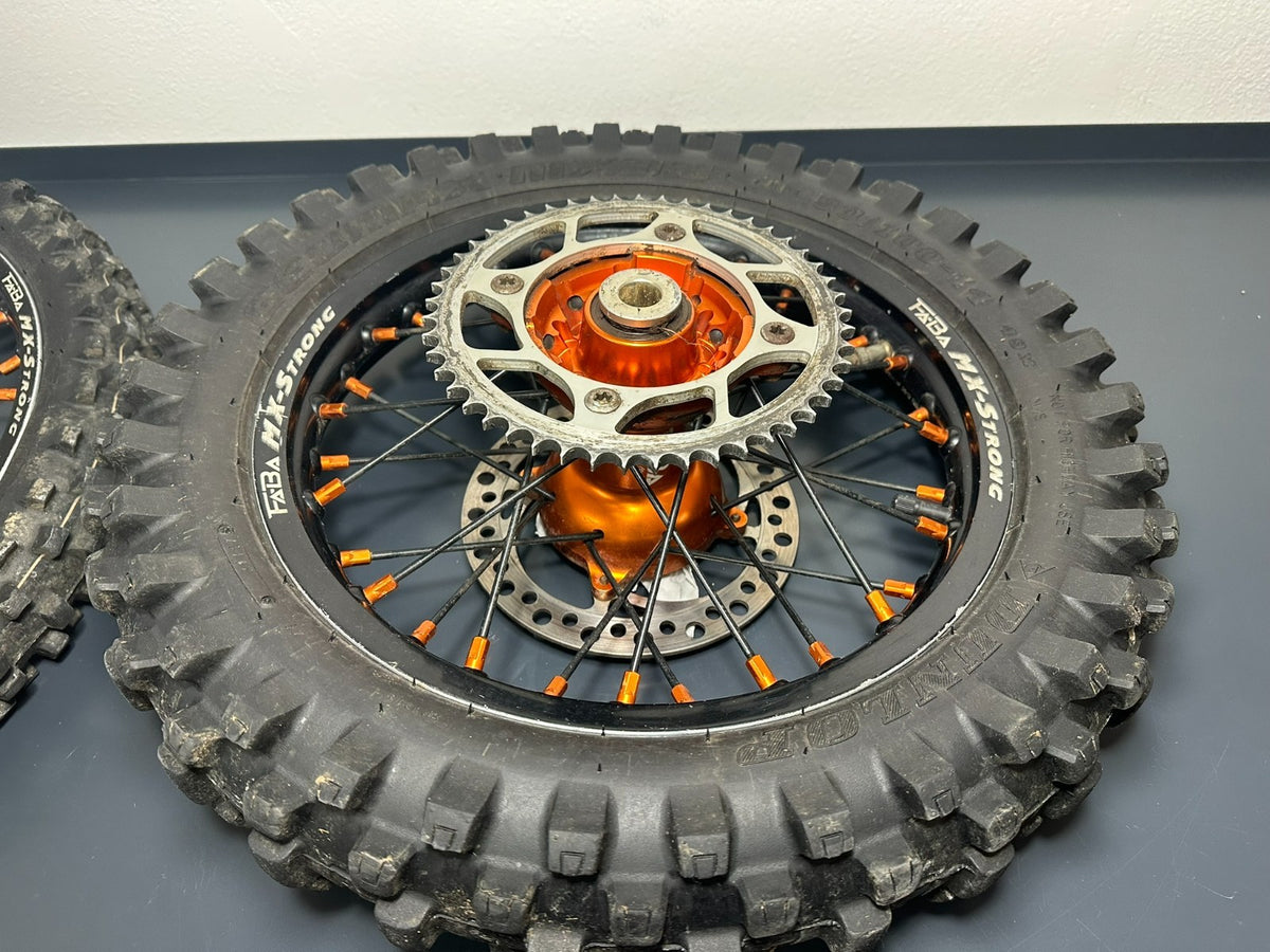 v1|137217381303|0