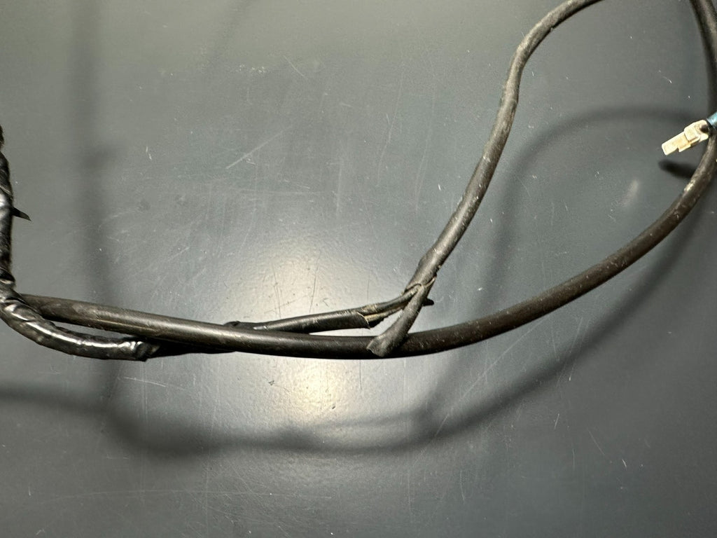v1|137357881842|0