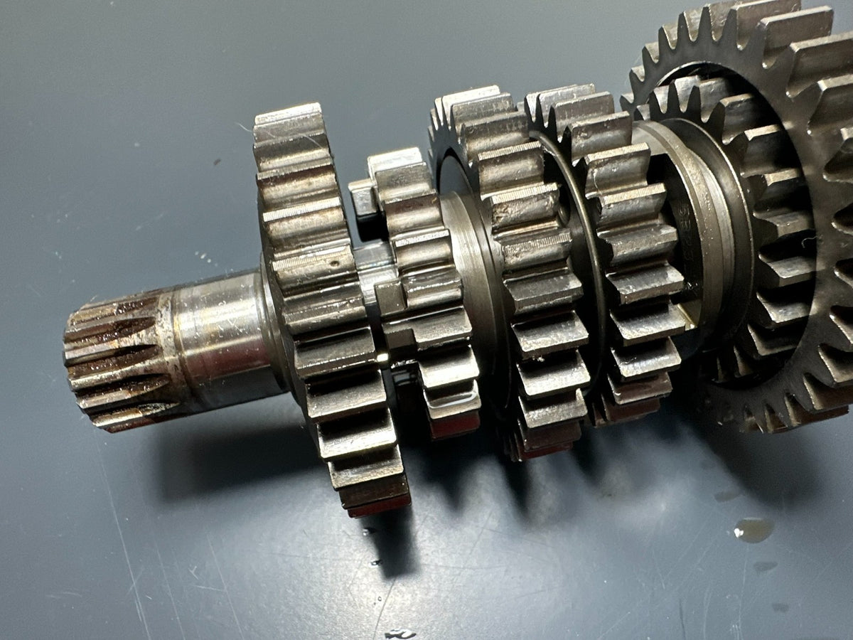 v1|137312885421|0