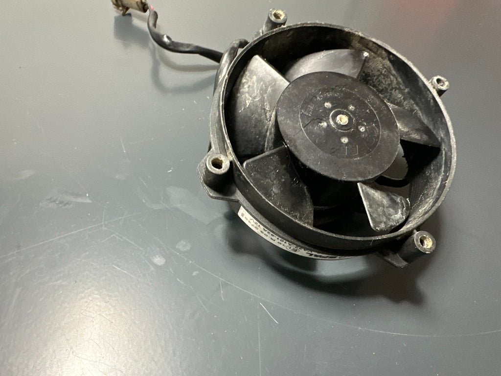 v1|137743726172|0