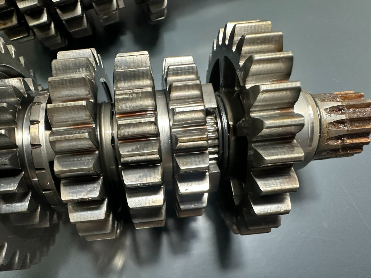 v1|137751856053|0