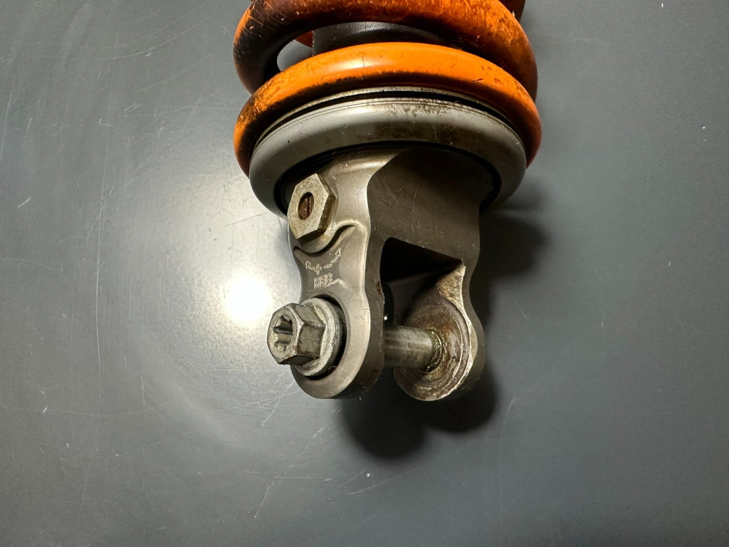 v1|137334263510|0