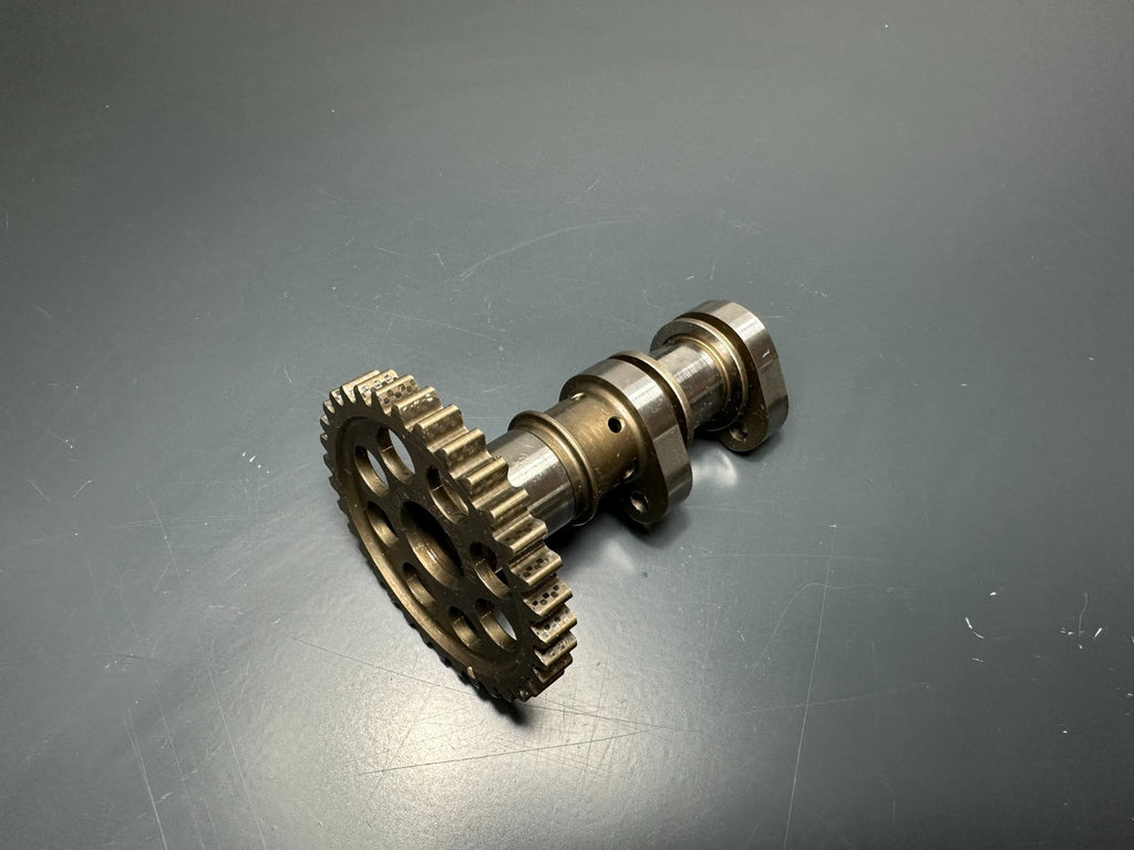 v1|137556585407|0