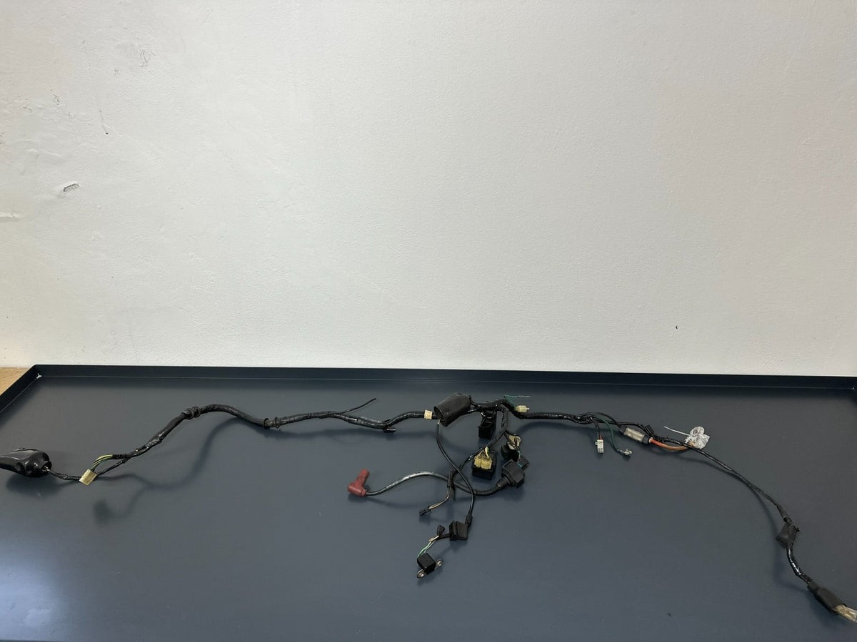 v1|136633840314|0