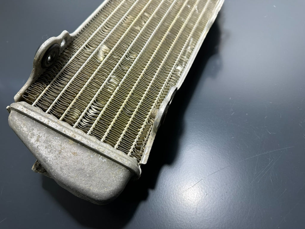 v1|137097529985|0