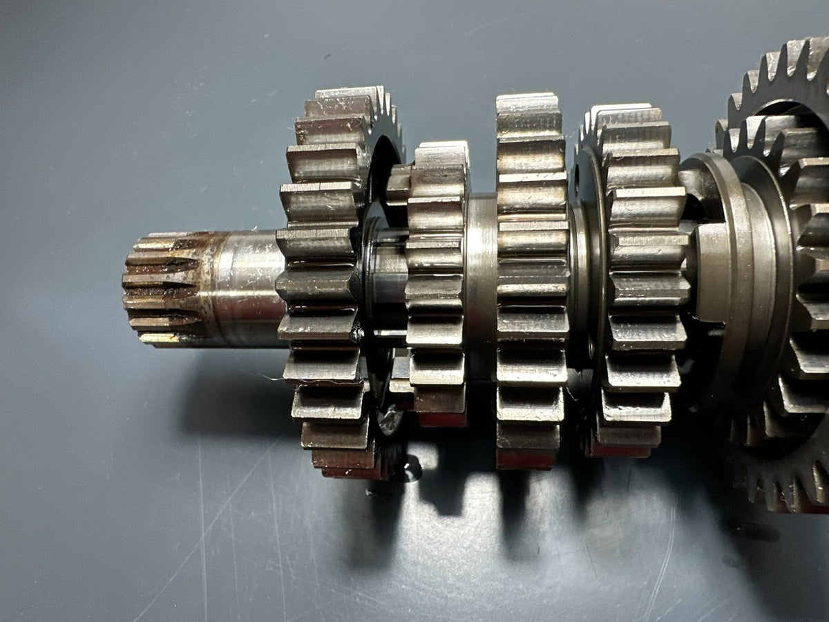 v1|137312885421|0
