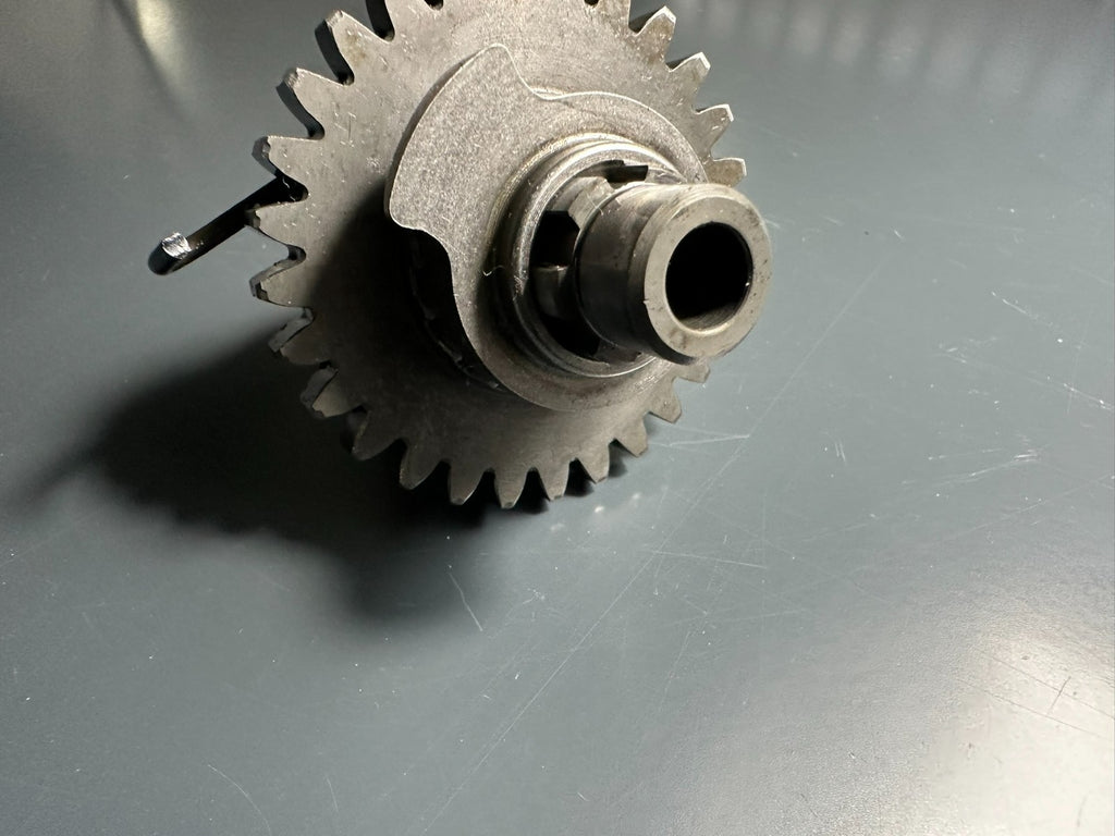 v1|137048582977|0