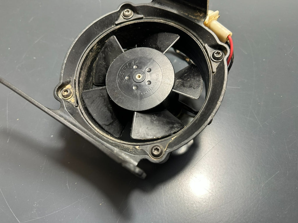 v1|137509231563|0