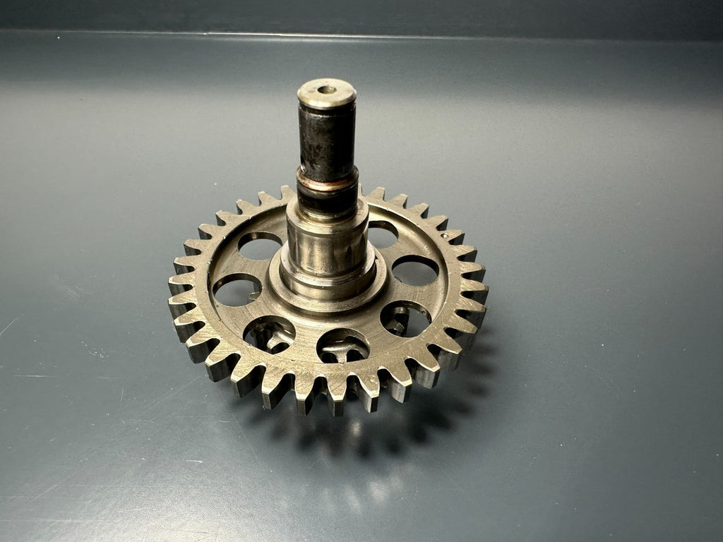 v1|137312595079|0